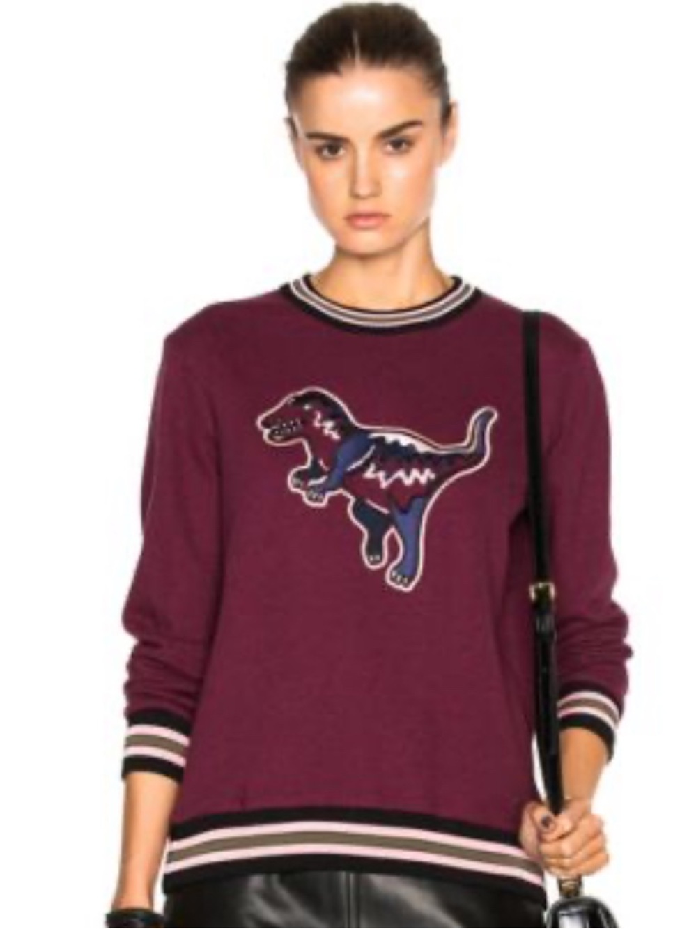 Coach T-Rex Varsity Crewneck Sweater